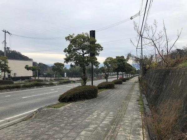 岩出市根来の土地