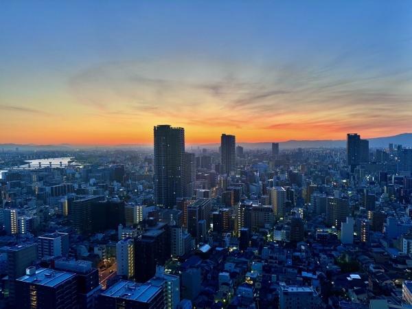 ザ・梅田タワー(現地からの眺望)