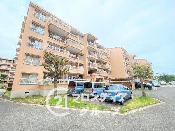 泉北桃山台B団地３棟　中古マンション