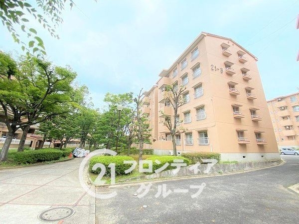 泉北桃山台B団地３棟　中古マンション