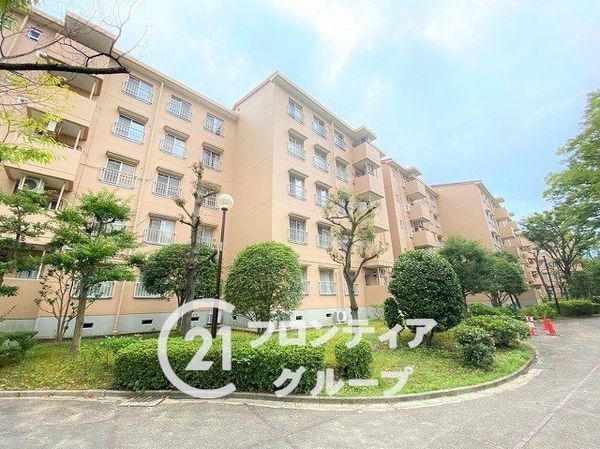 泉北桃山台B団地３棟　中古マンション