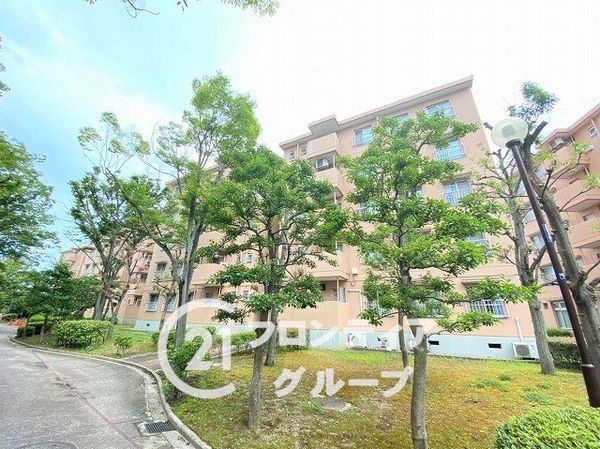 泉北桃山台B団地３棟　中古マンション