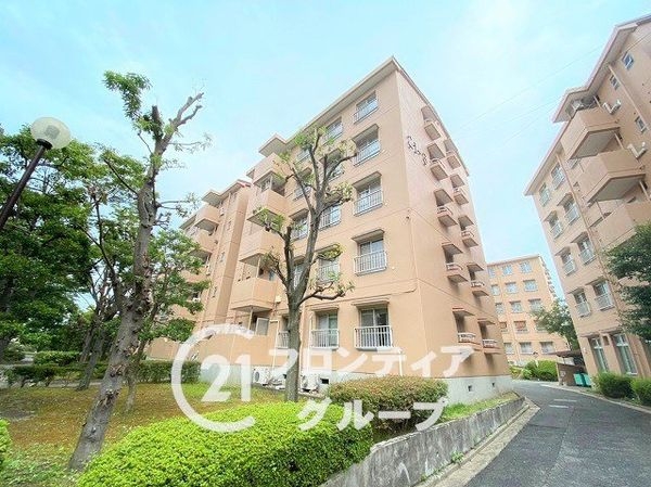 泉北桃山台B団地３棟　中古マンション