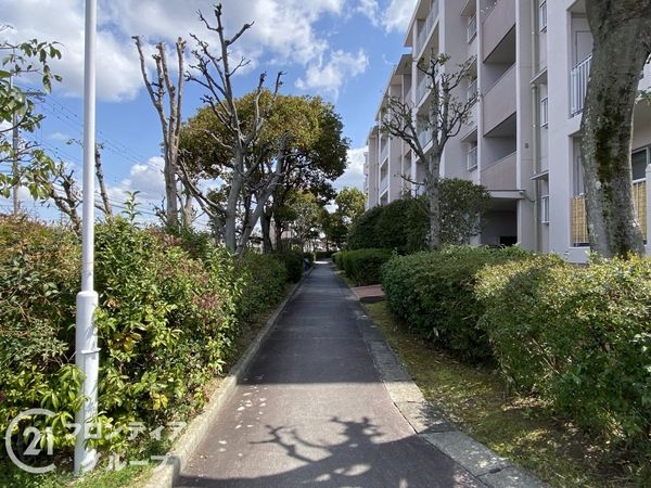泉北御池台第1住宅27-14号棟　中古マンション