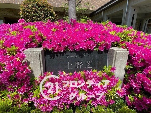 ローレルコート上野芝　中古マンション