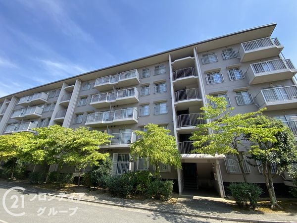 光明池駅前第3住宅11号棟　中古マンション