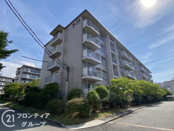 光明池駅前第3住宅11号棟　中古マンション
