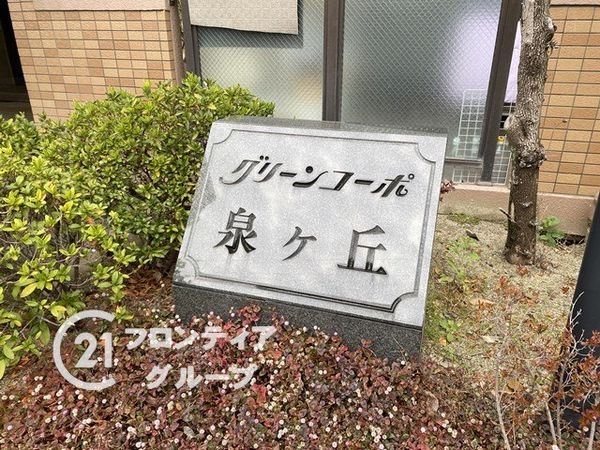 グリーンコーポ泉ヶ丘　中古マンション