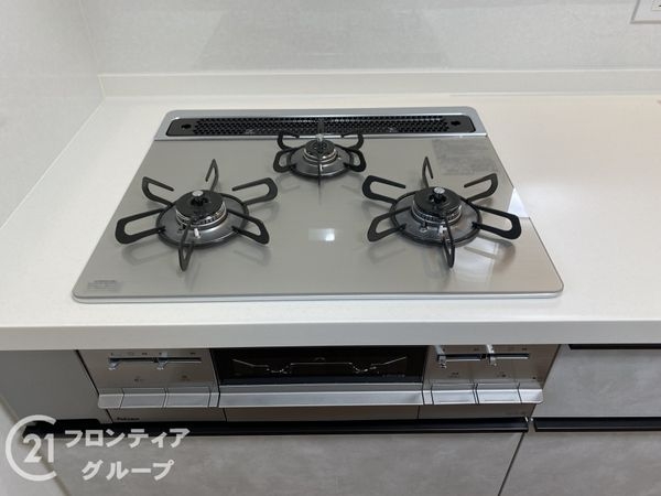 堺市東区南野田　新築一戸建て　全１区画