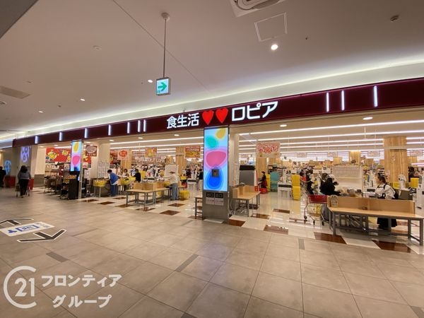 堺市東区北野田の中古一戸建て(ロピアららぽーと堺店)