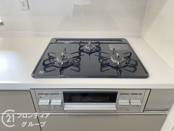 ルイシャトレ鳳　中古マンション