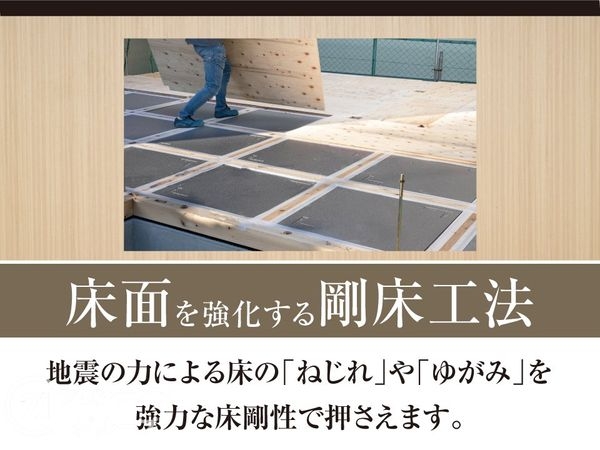 堺市東区日置荘西町７丁　新築一戸建て　全１区画