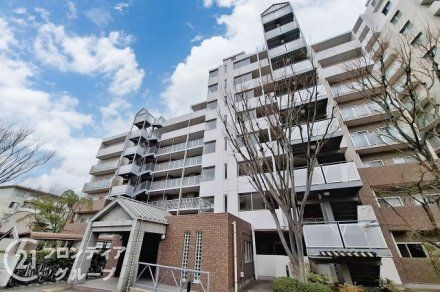 ソワール新檜尾台4号棟 中古マンション