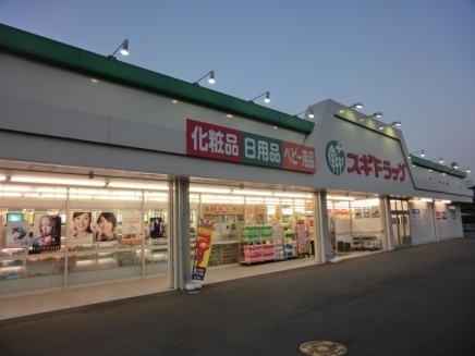 厚木サンハイツ(スギ薬局厚木恩名店)