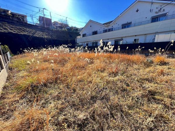 秦野市千村　土地