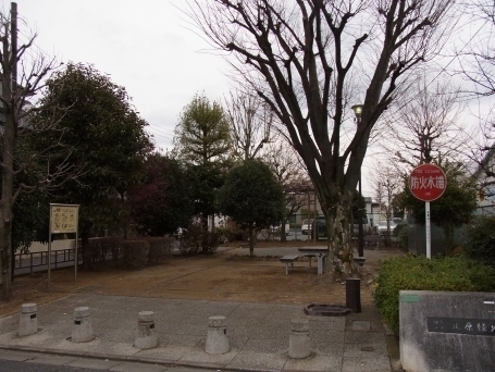 綾瀬市小園(北原緑地)