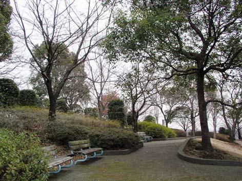 厚木市棚沢(鳶尾中央公園)