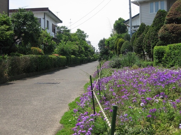 綾瀬市小園の土地(さがみの仲よし小道)