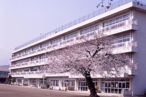秦野市南矢名の土地(秦野市立大根小学校)
