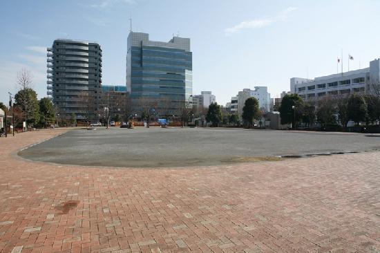 厚木市妻田南１丁目の土地(厚木市中央公園)