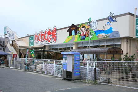 伊勢原市沼目３丁目の土地(わくわく広場伊勢原店)
