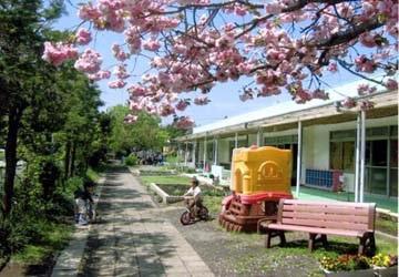平塚市御殿４丁目　３号棟(平塚市立ひばり幼稚園)