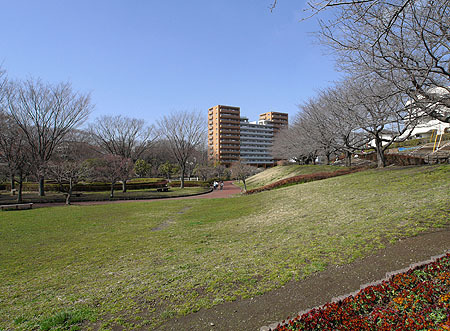 座間市緑ケ丘２丁目の土地(かにがさわ公園)