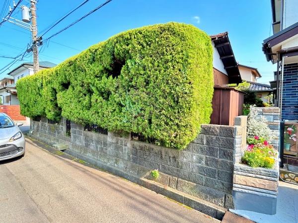 座間市緑ヶ丘２丁目
