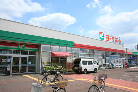 厚木市金田　２号棟(ヨークマート厚木妻田店)