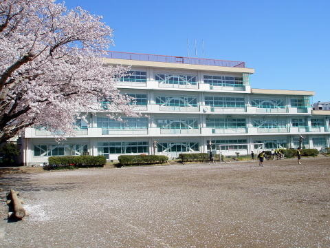 海老名市杉久保南２丁目の土地(海老名市立大谷中学校)