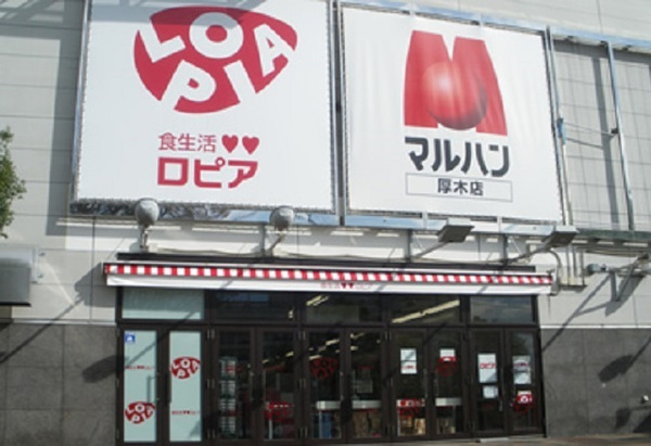 厚木市林２丁目の土地(ロピア厚木店)