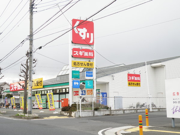 厚木市愛甲１期(スギ薬局厚木愛甲店)