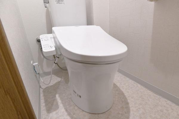 ドルミ野田
