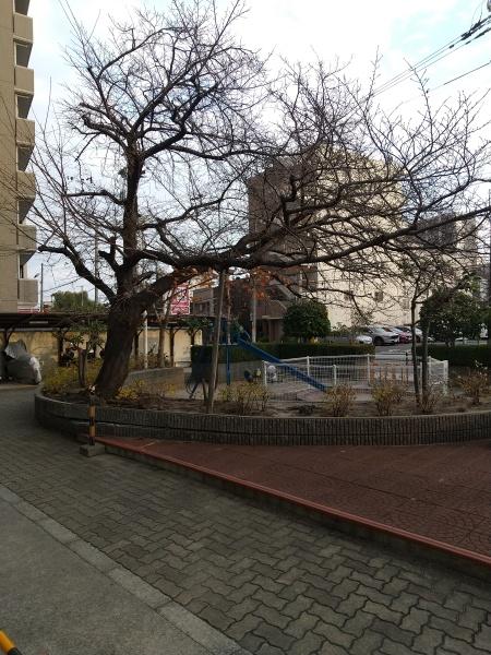 ファミール緑橋