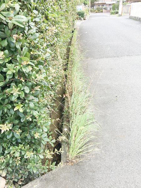 岸和田市上町の土地