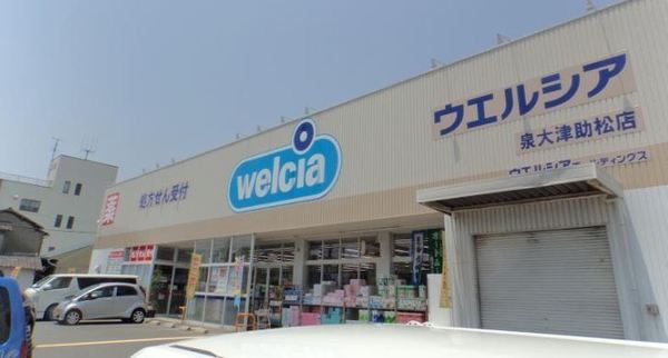 松之浜団地(ウエルシア泉大津助松店)
