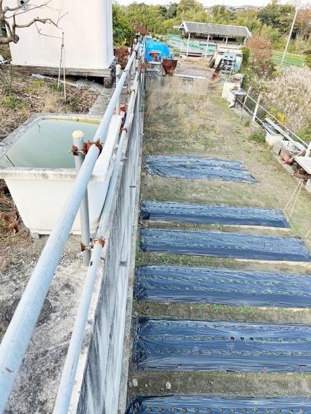 岸和田市阿間河滝町の土地