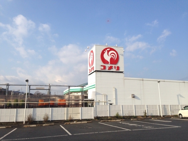 阪南市箱作の土地(コメリハード&グリーン阪南箱の浦店)