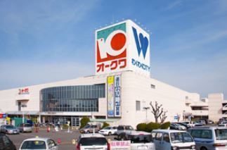 阪南市黒田の土地(オークワわくわくシティ尾崎店)