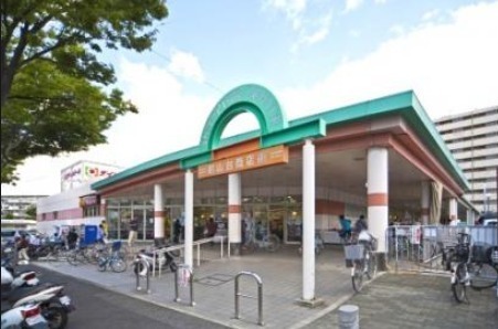 和泉市王子町の中古一戸建て(デイリーカナート鶴山台店)