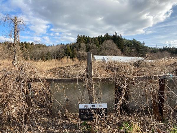 三戸郡五戸町字苗代沢の土地