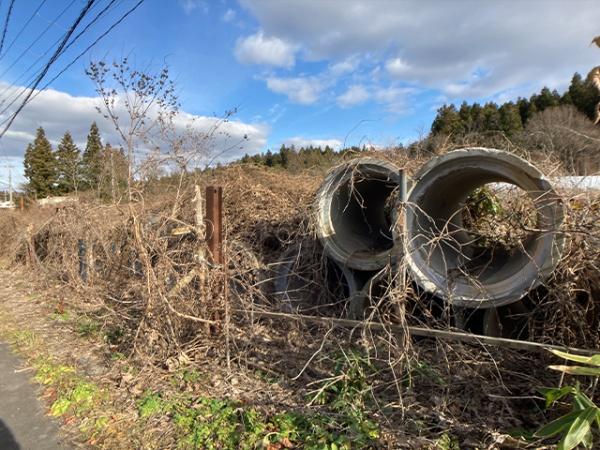三戸郡五戸町字苗代沢の土地