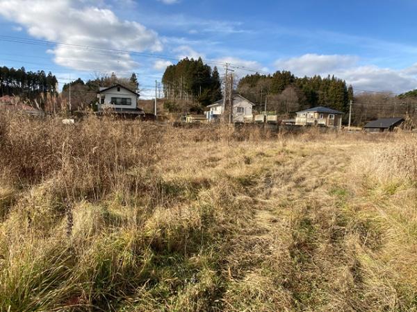 三戸郡五戸町字苗代沢の土地