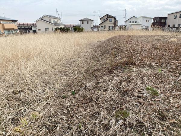 八戸市大字長苗代字上碇田の土地