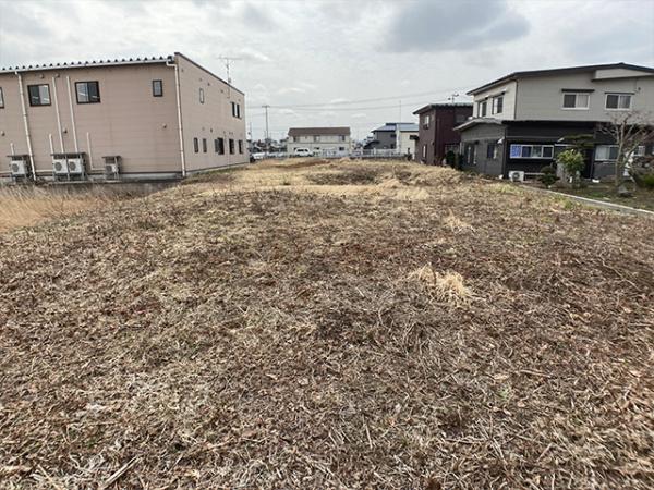 八戸市大字長苗代字上碇田の土地