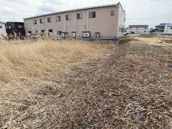 八戸市大字長苗代字上碇田の土地