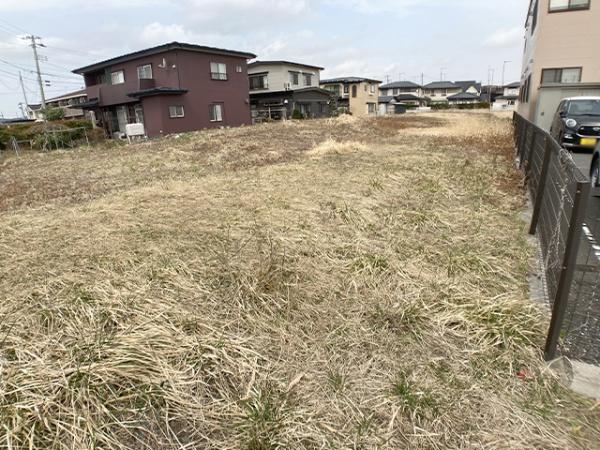 八戸市大字長苗代字上碇田の土地