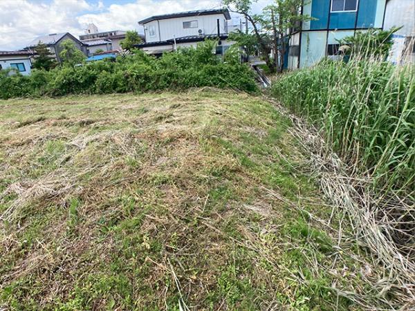 八戸市大字長苗代字大谷地の土地