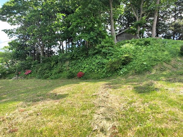 八戸市大字鮫町字堀込の土地