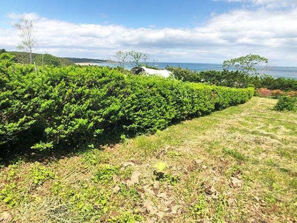 八戸市大字鮫町字堀込の土地